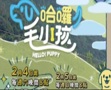 哈啰毛小孩 哈啰毛小孩