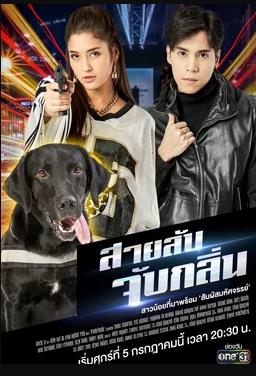 偵探K9普國語 偵探K9普國語